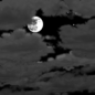 Friday Night: Increasing clouds, with a low around 65. West wind around 5 mph becoming calm  after midnight. 